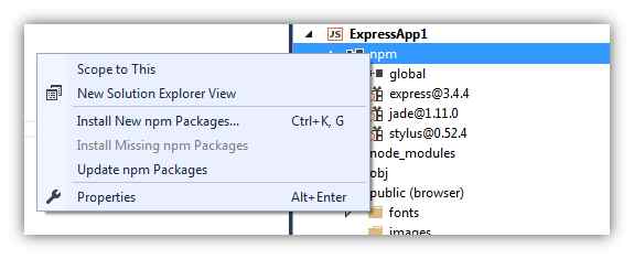 adding the npm packages